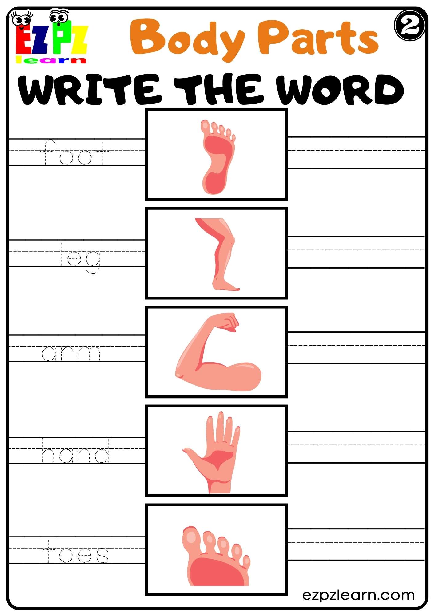 Body Parts Write the Word Worksheets for Kids and ESL PDF Download set 2